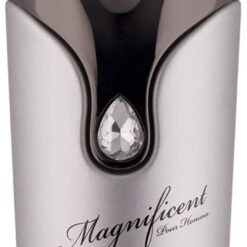 Imagem de Armaf Magnificent - Eau de Parfum Spray 100 ml para Homens - fragrância árabe