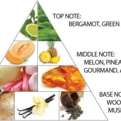 Imagem de Eau de Parfum Al Haramain Âmbar Oud Gold Edition - 4 oz (Unissex) - fragrância árabe