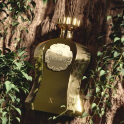 Imagem de Perfume Afnan Highness X Brown para Homens - Eau de Parfum Spray, 100 ml - fragrância árabe