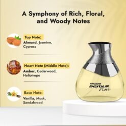 Imagem de Perfume Al Haramain Detour Noir Unissex - 100 ml - fragrância árabe